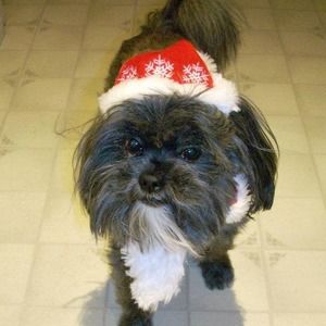 Meet your Posher, Melinda